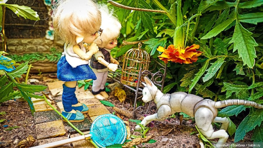 Муха. Realpuki. 174 — Фотоистории с куклами BJD (БЖД): сериалы (фото 7)