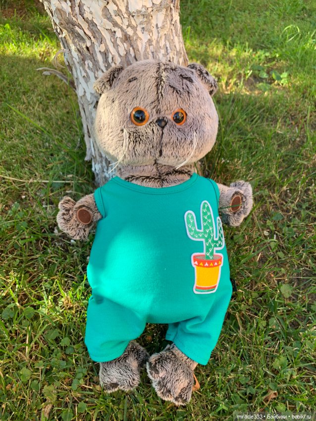 Басик на прогулке — Кот Басик (фото 3)