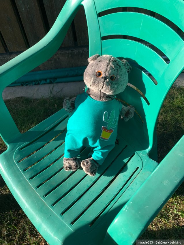 Басик на прогулке — Кот Басик