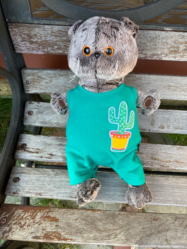 Басик на прогулке — Кот Басик (фото 2)