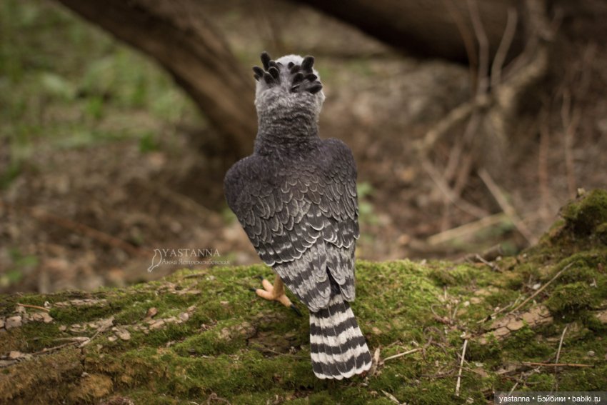 Гарпия — Валяные игрушки из шерсти: сухое валяние