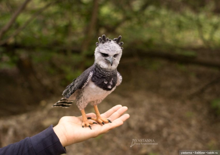 Гарпия — Валяные игрушки из шерсти: сухое валяние