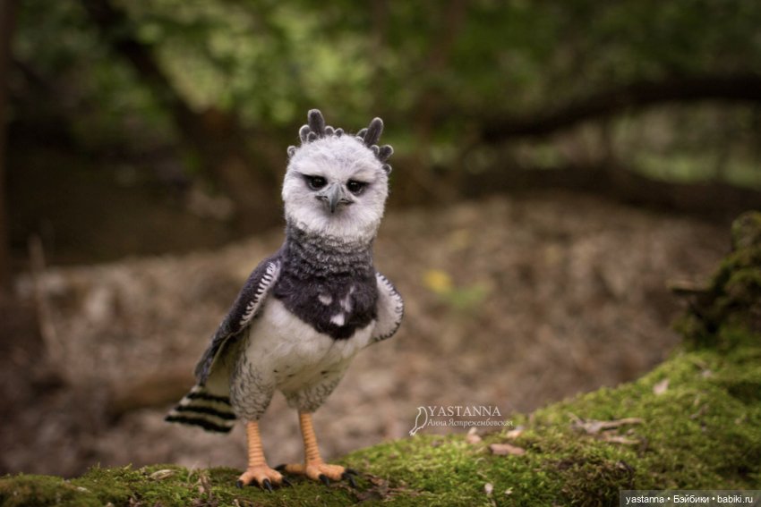 Гарпия — Валяные игрушки из шерсти: сухое валяние