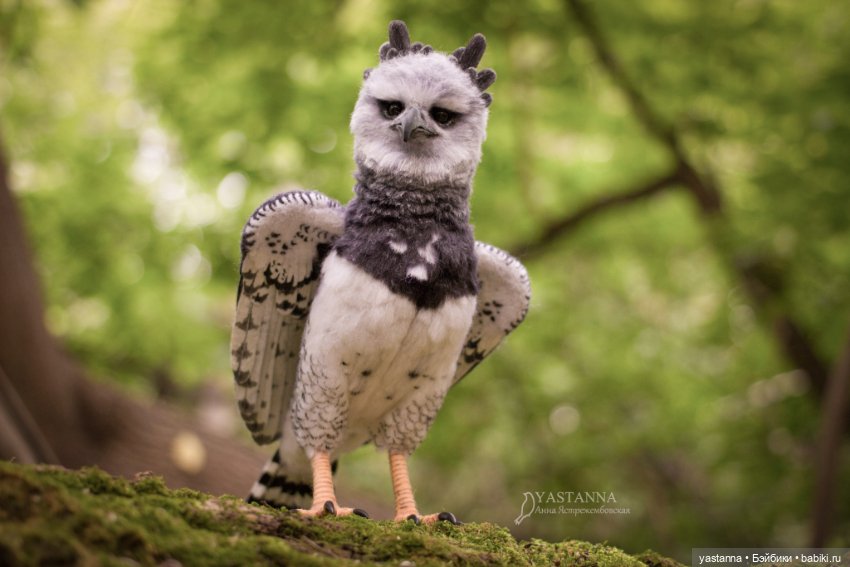 Гарпия — Валяные игрушки из шерсти: сухое валяние