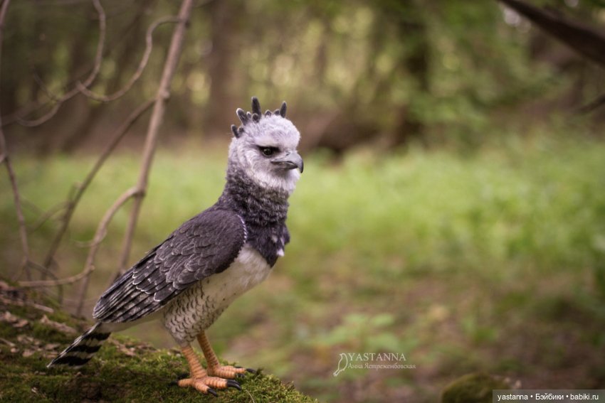 Гарпия — Валяные игрушки из шерсти: сухое валяние