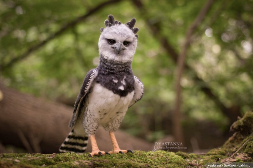 Гарпия — Валяные игрушки из шерсти: сухое валяние