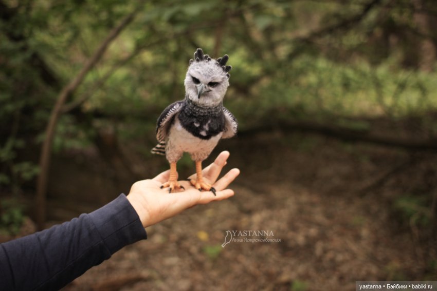 Гарпия — Валяные игрушки из шерсти: сухое валяние