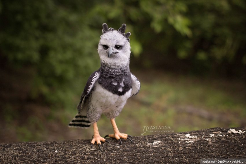 Гарпия — Валяные игрушки из шерсти: сухое валяние