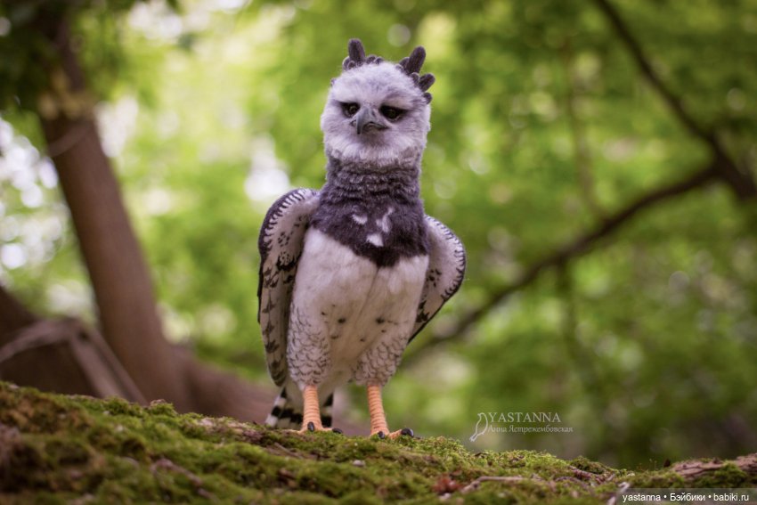 Гарпия — Валяные игрушки из шерсти: сухое валяние