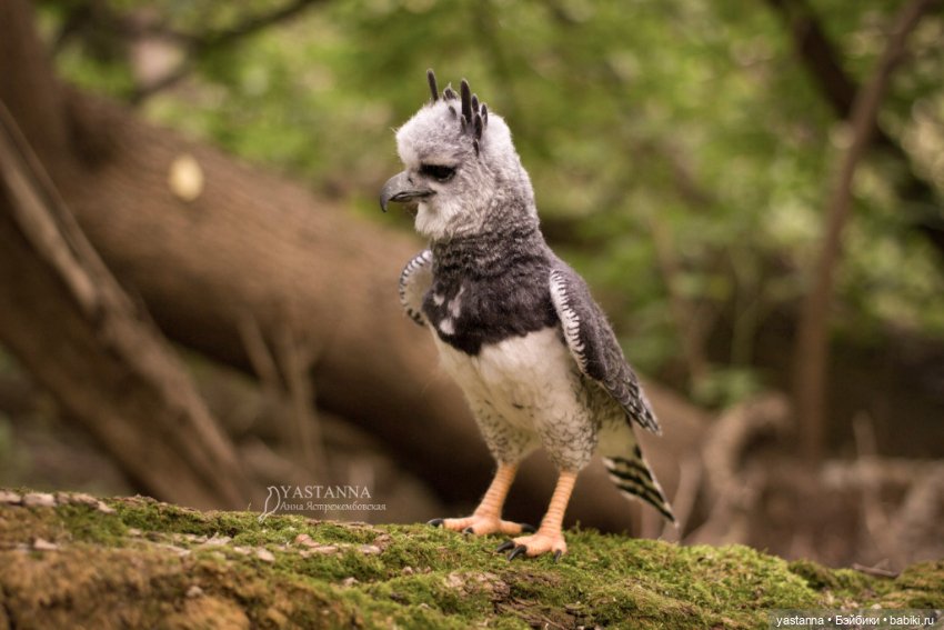 Гарпия — Валяные игрушки из шерсти: сухое валяние