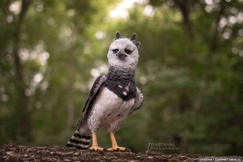 Гарпия — Валяные игрушки из шерсти: сухое валяние (фото 4)