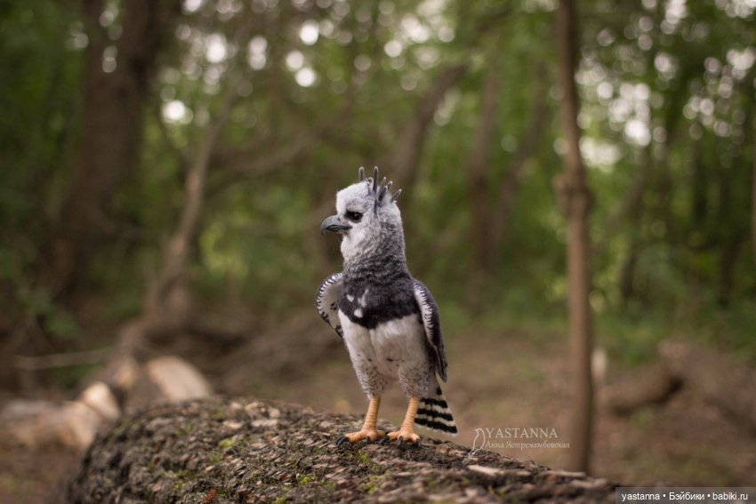 Гарпия — Валяные игрушки из шерсти: сухое валяние (фото 5)