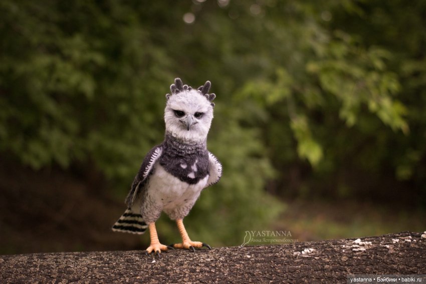 Гарпия — Валяные игрушки из шерсти: сухое валяние