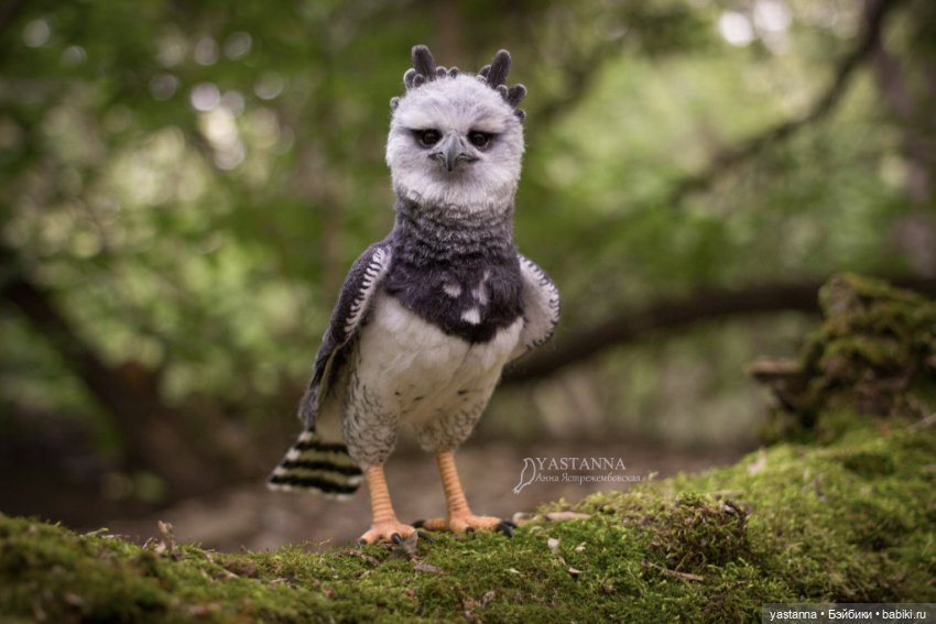 Гарпия — Валяные игрушки из шерсти: сухое валяние