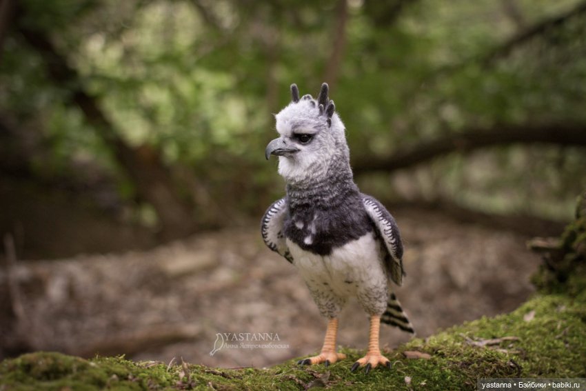 Гарпия — Валяные игрушки из шерсти: сухое валяние