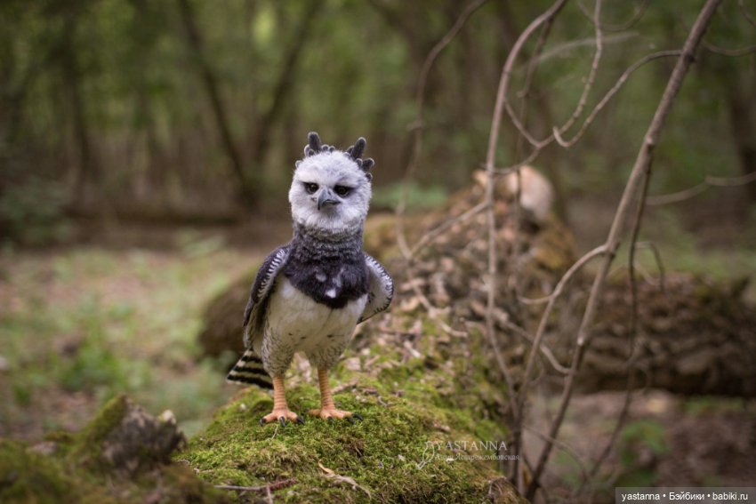 Гарпия — Валяные игрушки из шерсти: сухое валяние