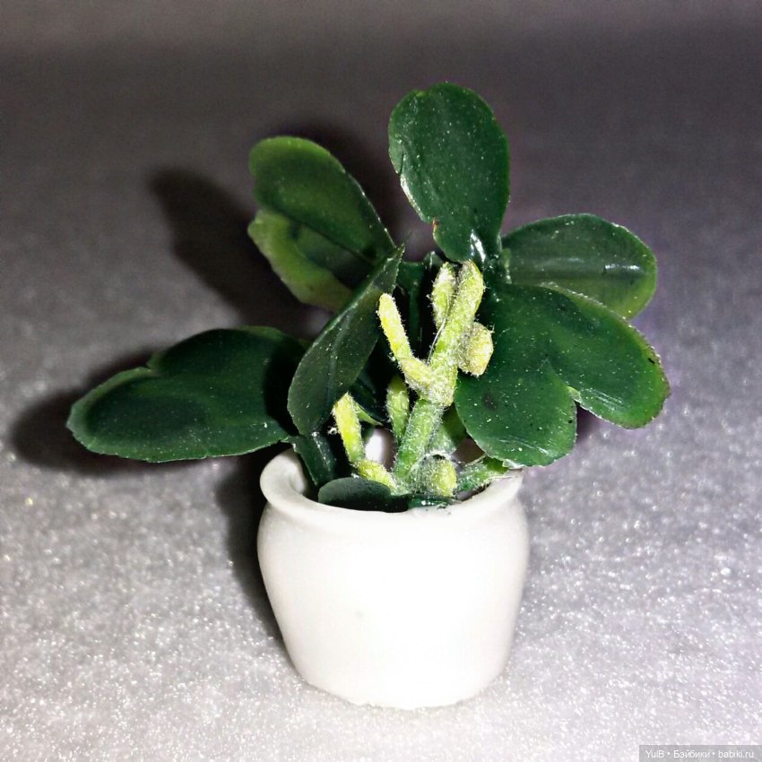 ...Покупки для Дома, который построила я: цветы, почтовый ящик и мусорные баки (фото 5)