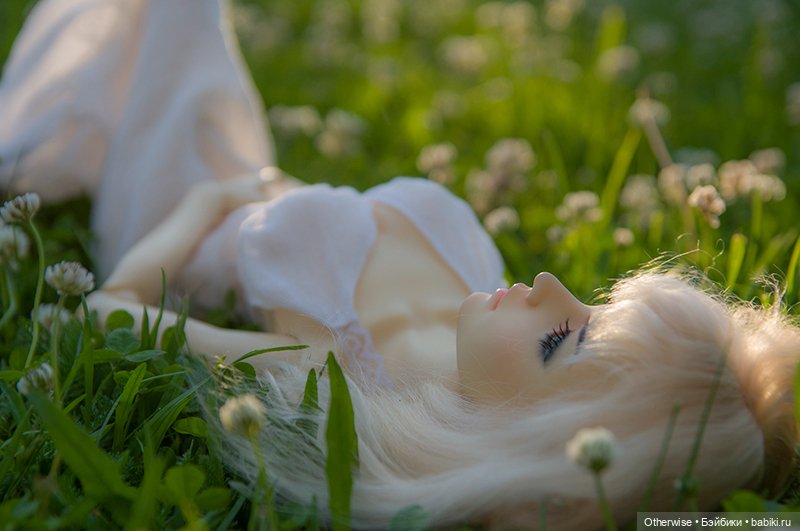 Летние радости - summer time