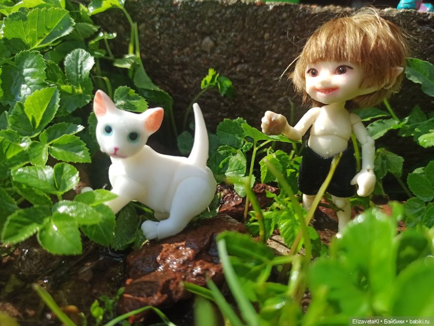 Новые знакомые. Realpuki. 96 часть (фото 5)