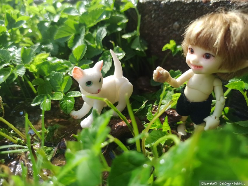 Новые знакомые. Realpuki. 96 часть (фото 3)