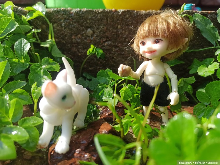 Новые знакомые. Realpuki. 96 часть (фото 4)