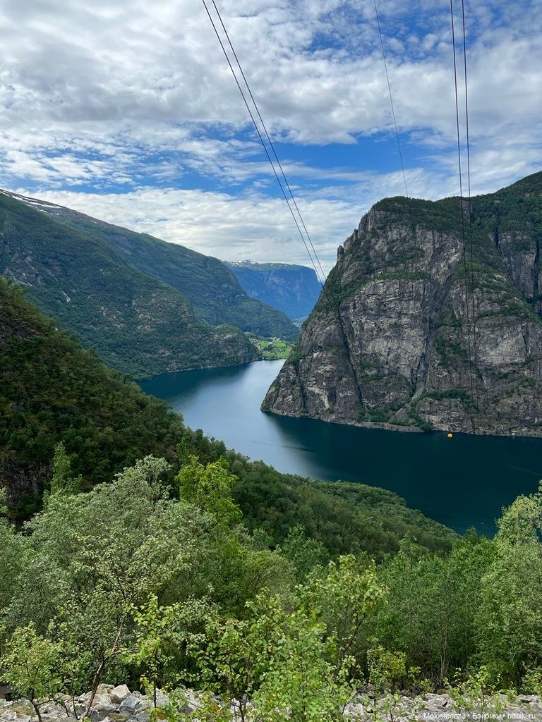 Очаровательная Minifee Rendia