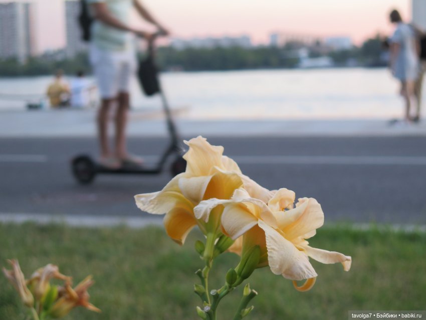 Starr Model Agency - модная Дюймовочка из начала 1990х