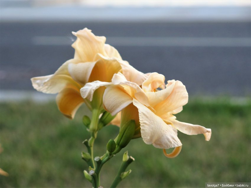 Starr Model Agency - модная Дюймовочка из начала 1990х