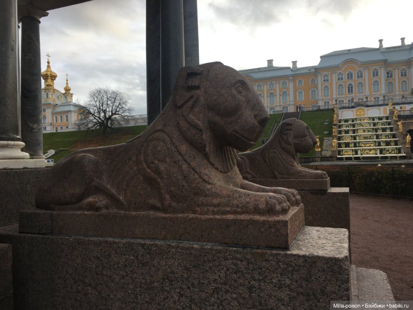 Осенний Петергоф — Туризм и путешествия: фотоотчеты из поездок