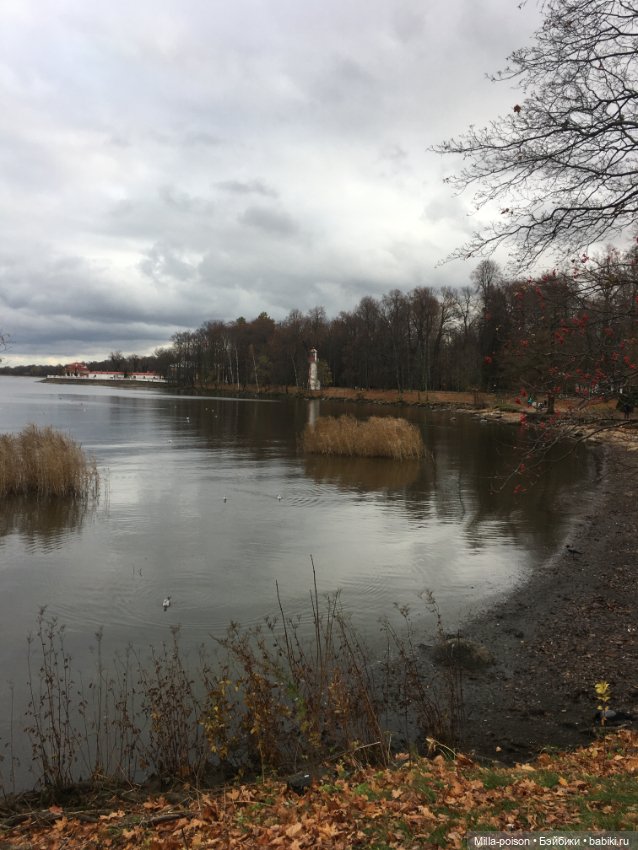 Осенний Петергоф — Туризм и путешествия: фотоотчеты из поездок