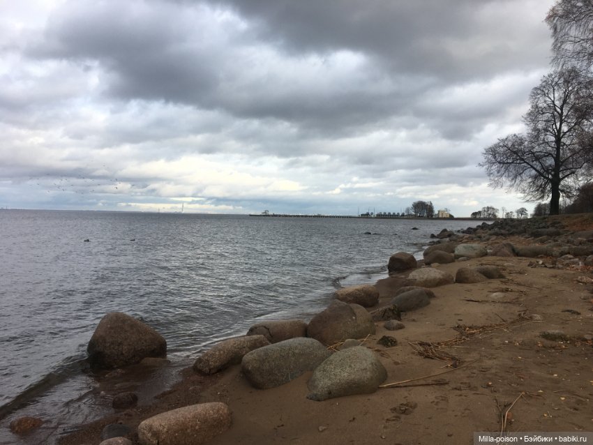 Осенний Петергоф — Туризм и путешествия: фотоотчеты из поездок (фото 4)
