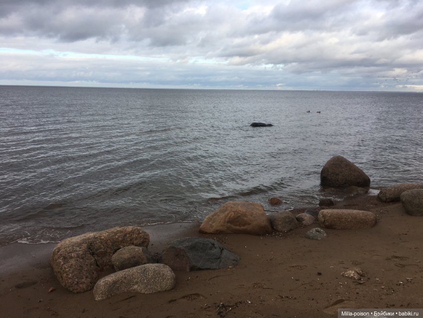 Осенний Петергоф — Туризм и путешествия: фотоотчеты из поездок (фото 2)