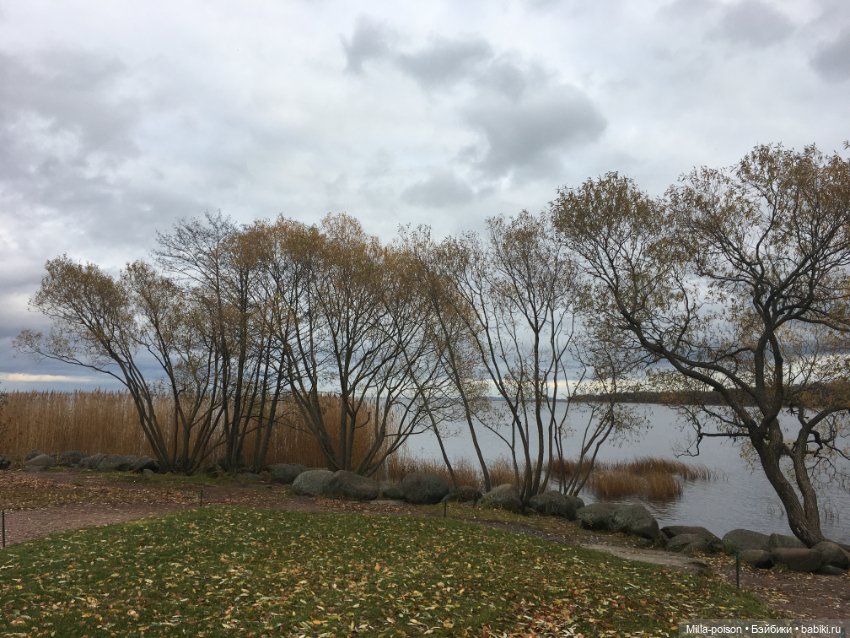 Осенний Петергоф — Туризм и путешествия: фотоотчеты из поездок