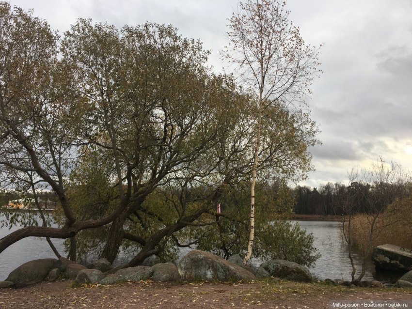 Осенний Петергоф — Туризм и путешествия: фотоотчеты из поездок (фото 10)