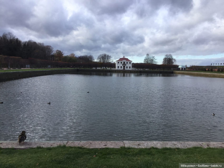 Осенний Петергоф — Туризм и путешествия: фотоотчеты из поездок