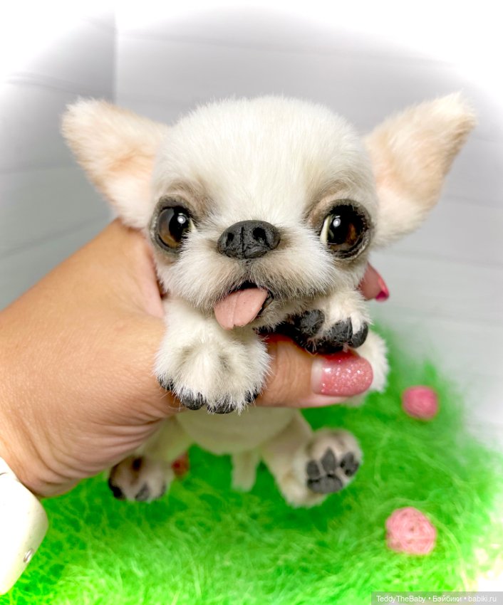 Фаня ☺️🐾 — Реалистичные игрушки и звери (Натюр): собаки