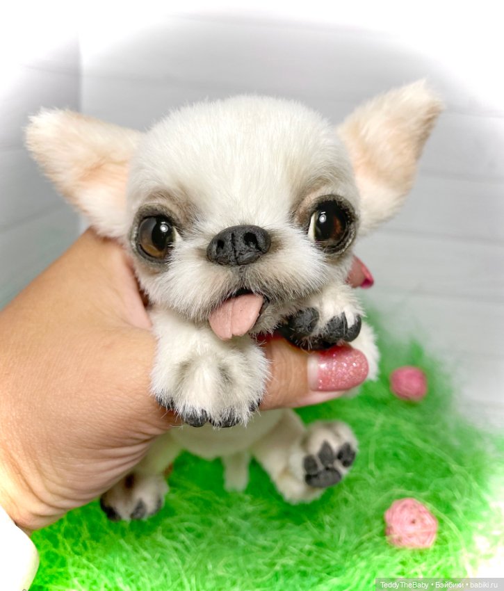 Фаня ☺️🐾 — Реалистичные игрушки и звери (Натюр): собаки (фото 4)