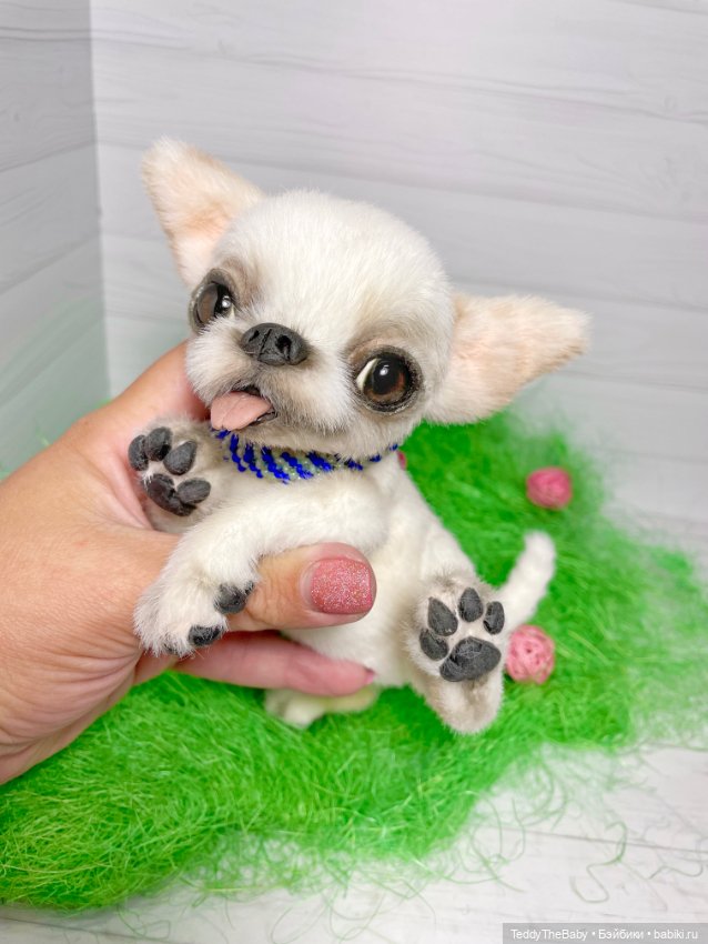 Фаня ☺️🐾 — Реалистичные игрушки и звери (Натюр): собаки (фото 9)