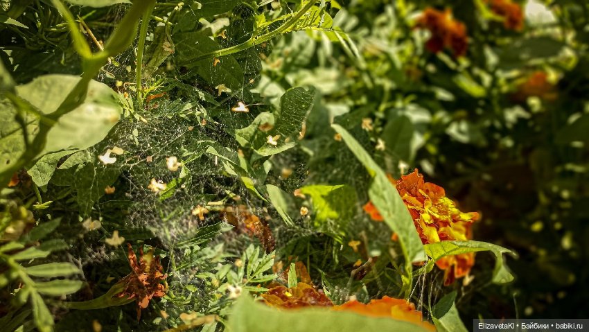 Утюг. Realpuki. 175 — Фотоистории с куклами BJD (БЖД): сериалы