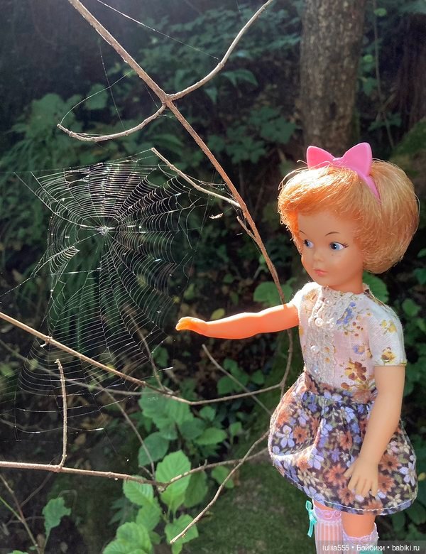 Покорители вершин и водопадов (фото 10)