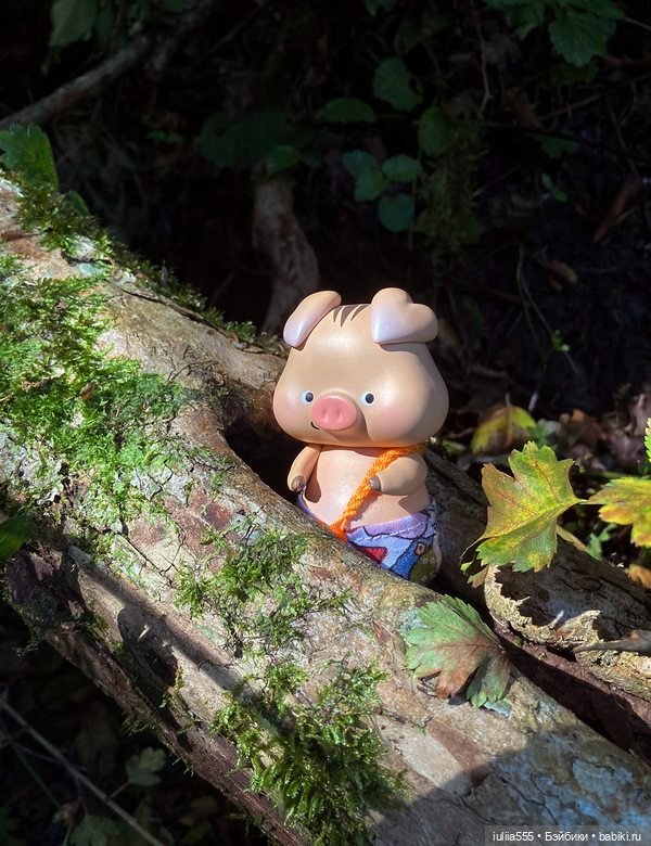 Покорители вершин и водопадов