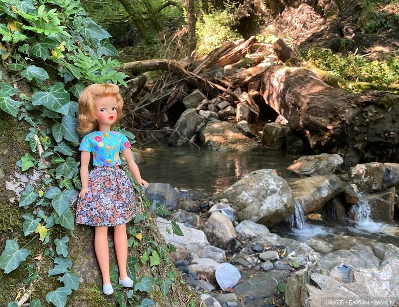 Покорители вершин и водопадов (фото 5)