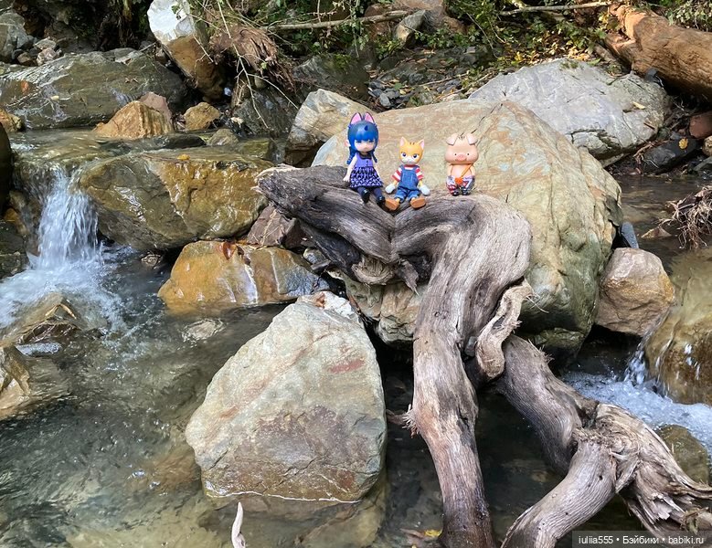 Покорители вершин и водопадов