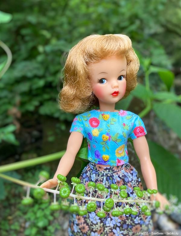 Покорители вершин и водопадов