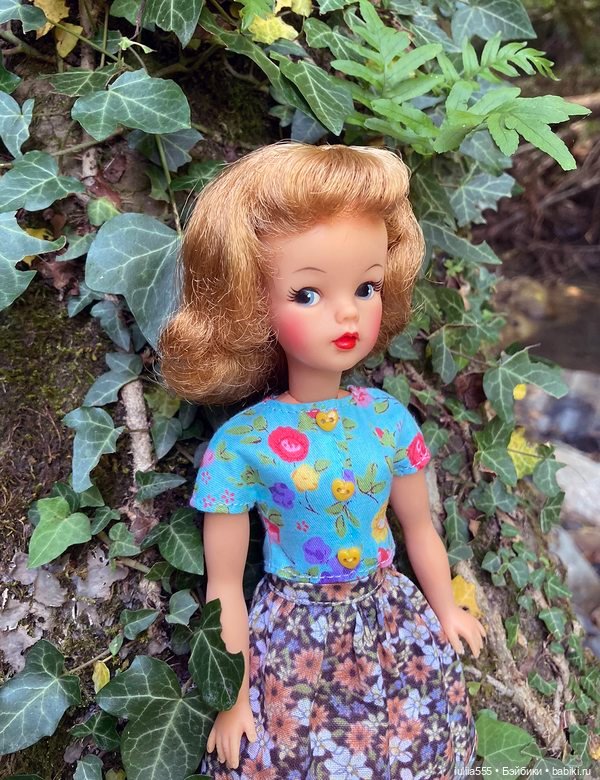 Покорители вершин и водопадов (фото 6)