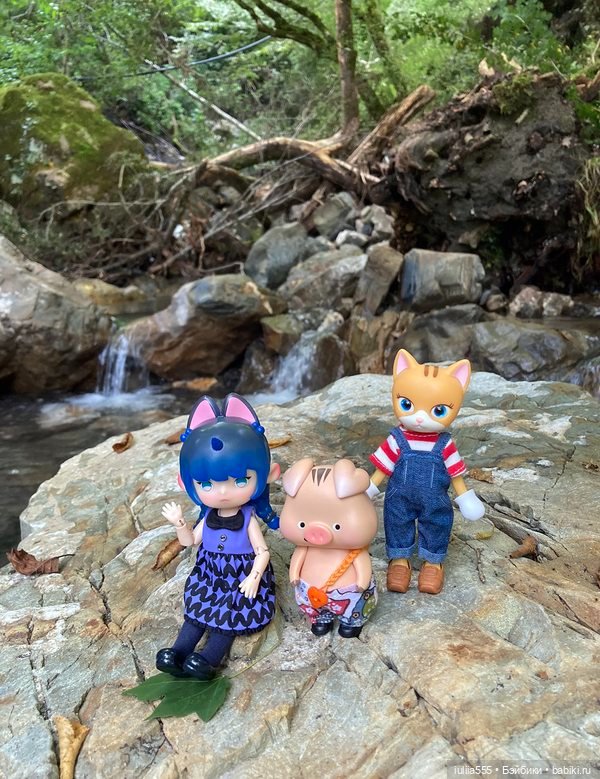 Покорители вершин и водопадов