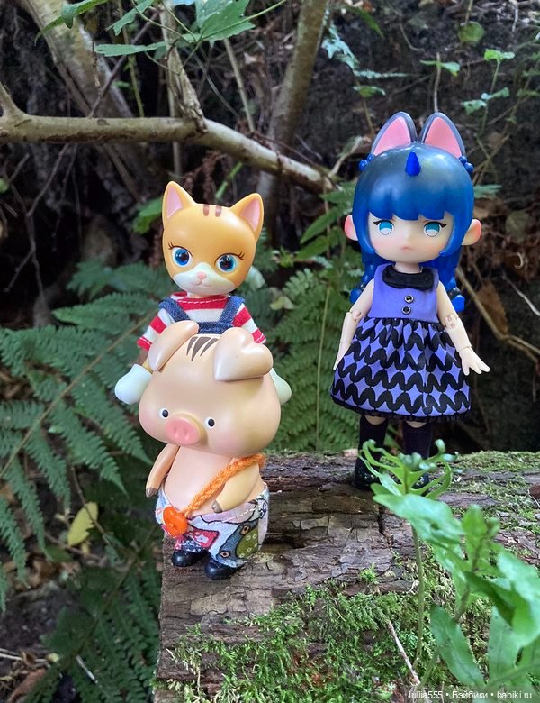 Покорители вершин и водопадов