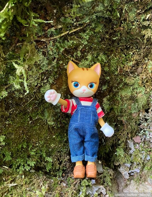 Покорители вершин и водопадов