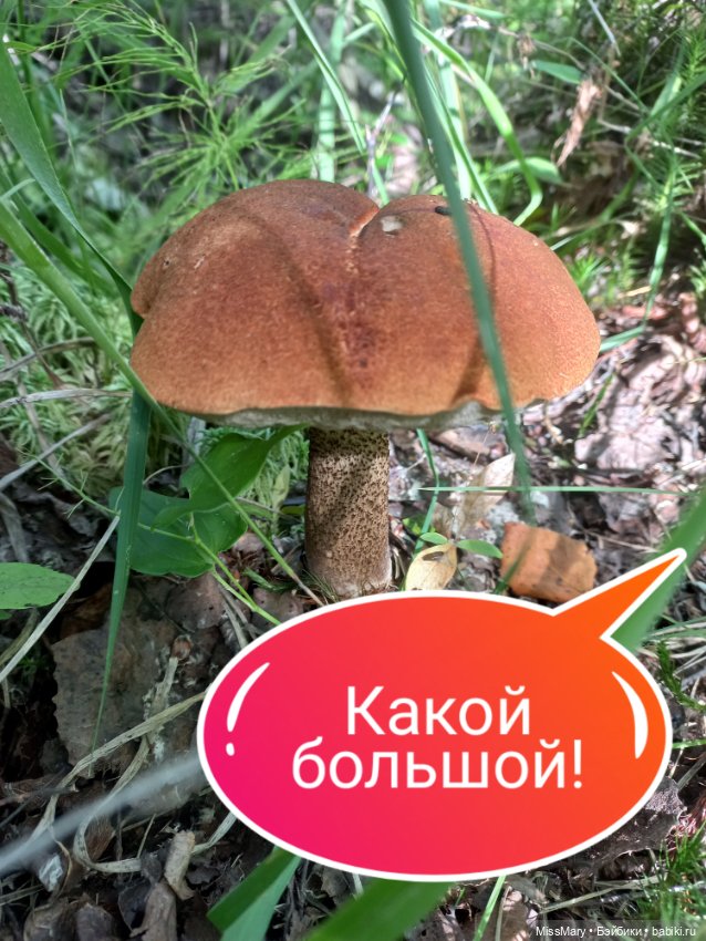 Весёлые картинки. "Приятное с полезным"