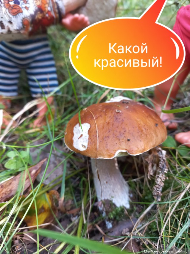 Весёлые картинки. "Приятное с полезным" (фото 7)